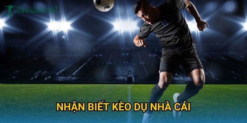 Nhận biết kèo dụ nhà cái Keonhacai – Tránh bẫy kèo và tối ưu lợi nhuận 8 Nhận biết kèo dụ nhà cái Keonhacai – Tránh bẫy kèo và tối ưu lợi nhuận