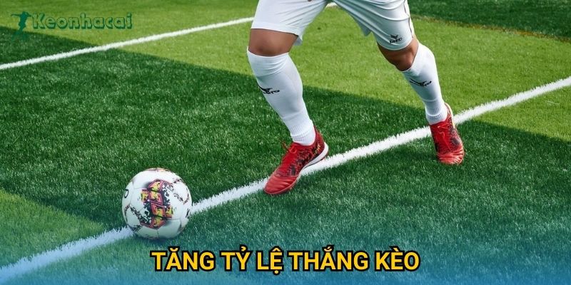 Tăng tỷ lệ thắng kèo Keonhacai – Bí quyết phân tích chuyên sâu từ dữ liệu 2 Tăng tỷ lệ thắng kèo Keonhacai – Bí quyết phân tích chuyên sâu từ dữ liệu
