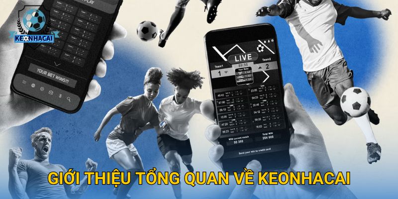 Trang chủ 808 Giới thiệu tổng quan về Keonhacai